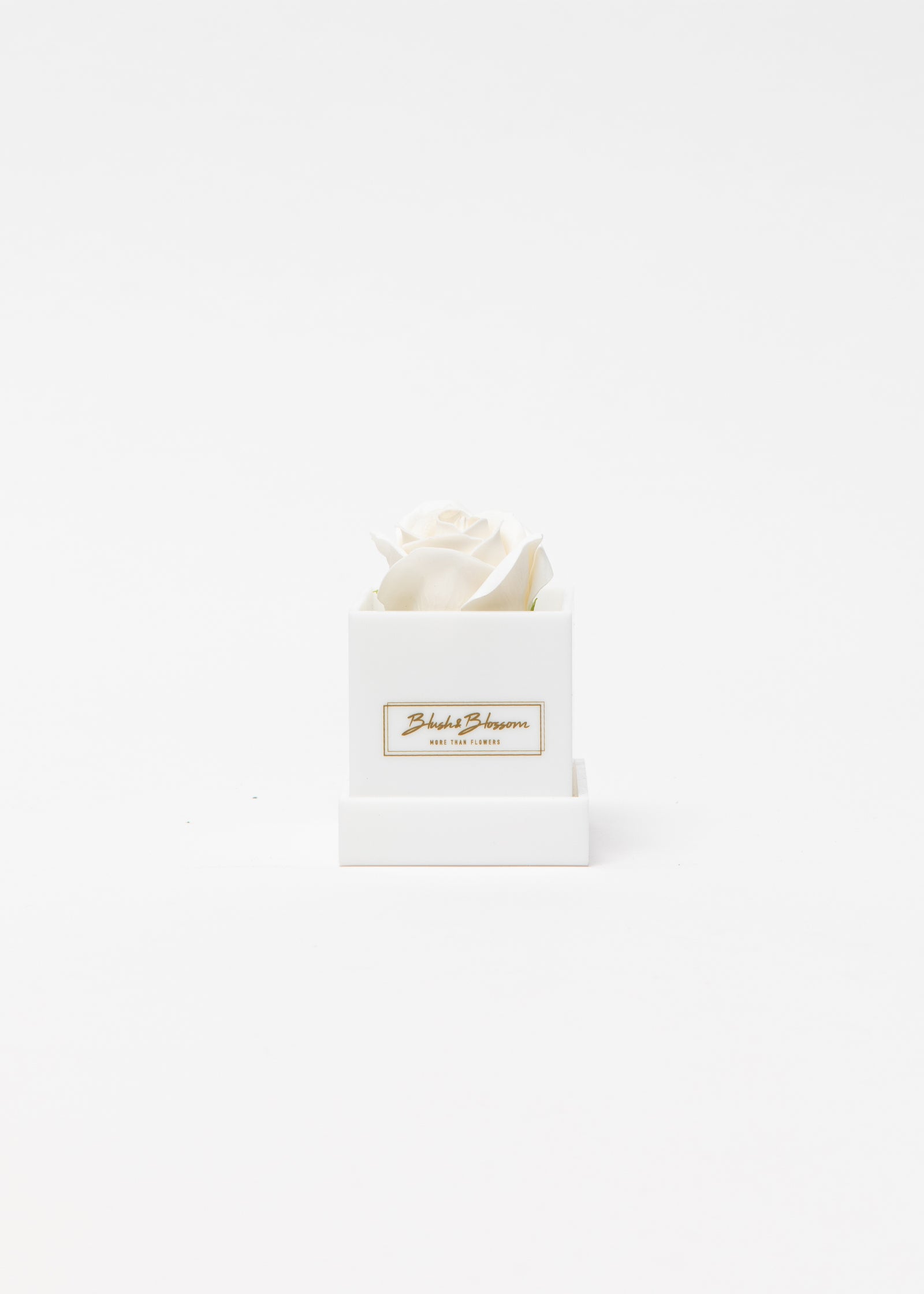 Coffret Opal