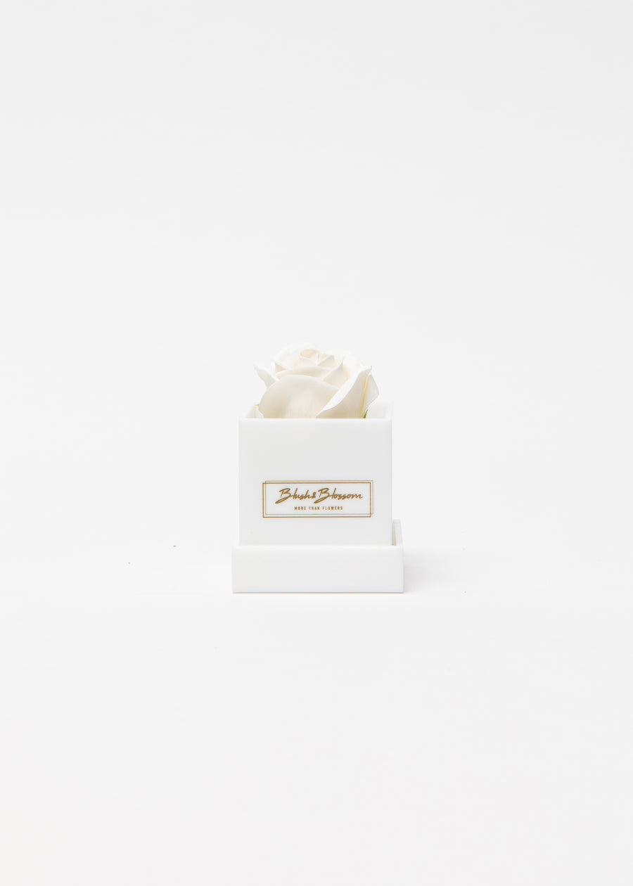 Coffret Opal