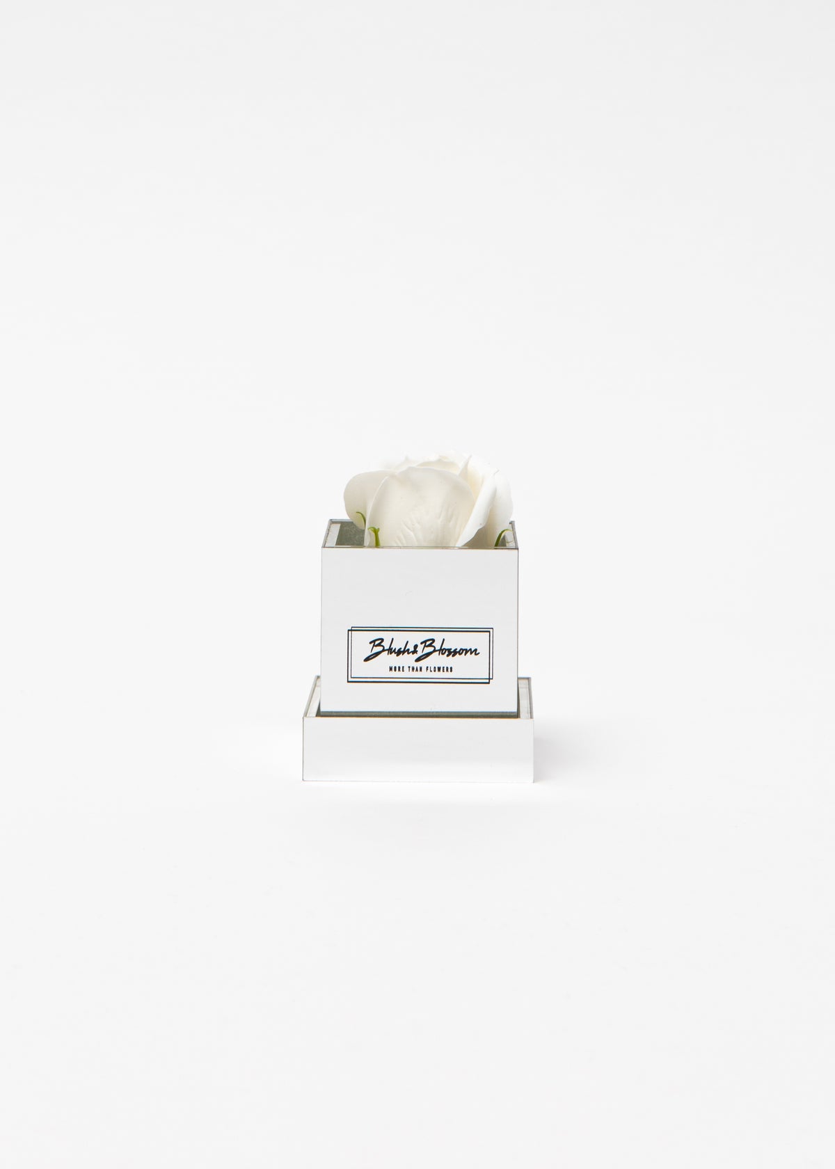 Coffret Silver