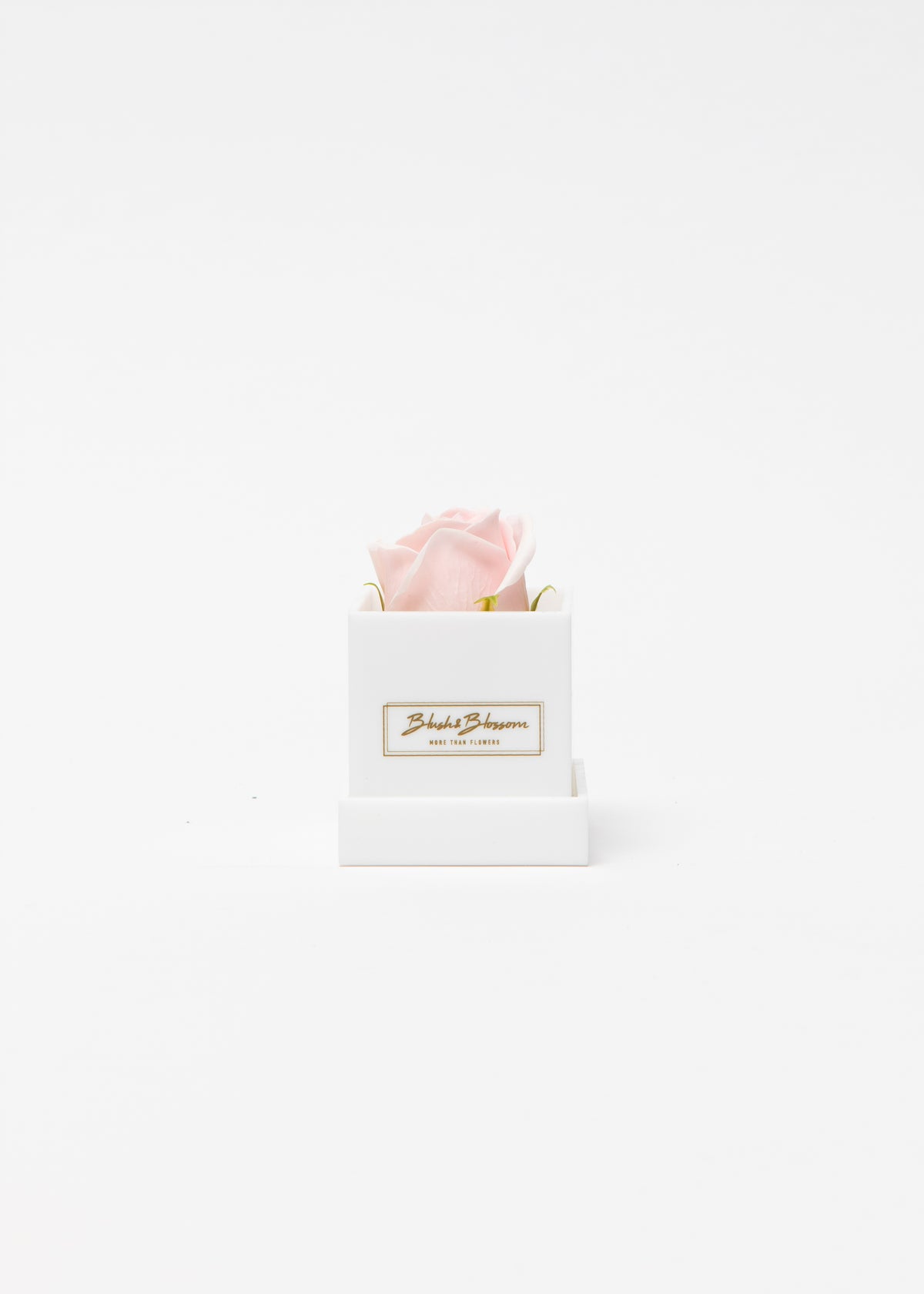 Coffret Opal