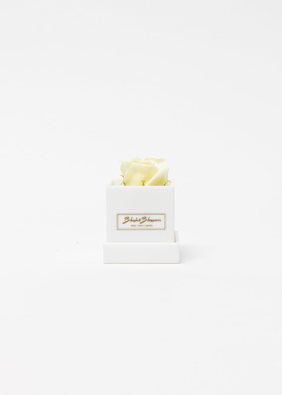 Coffret Opal