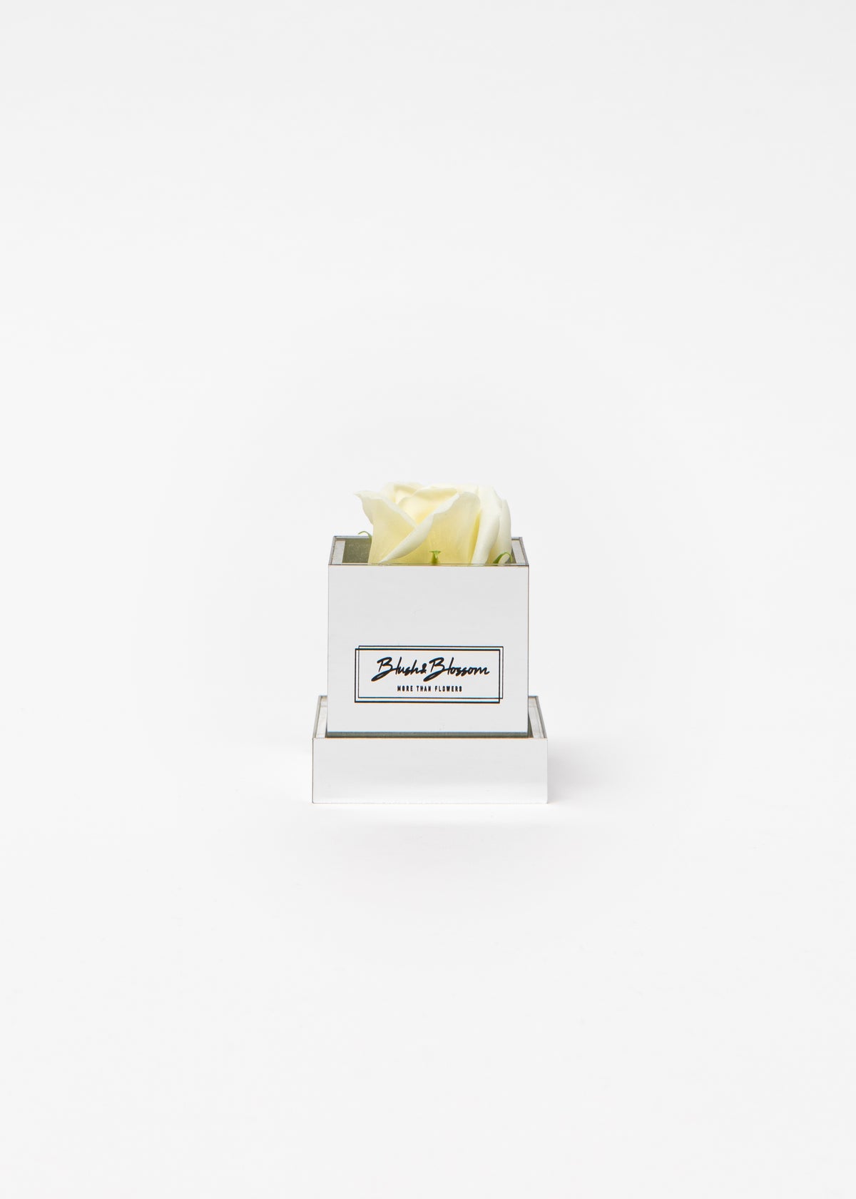 Coffret Silver