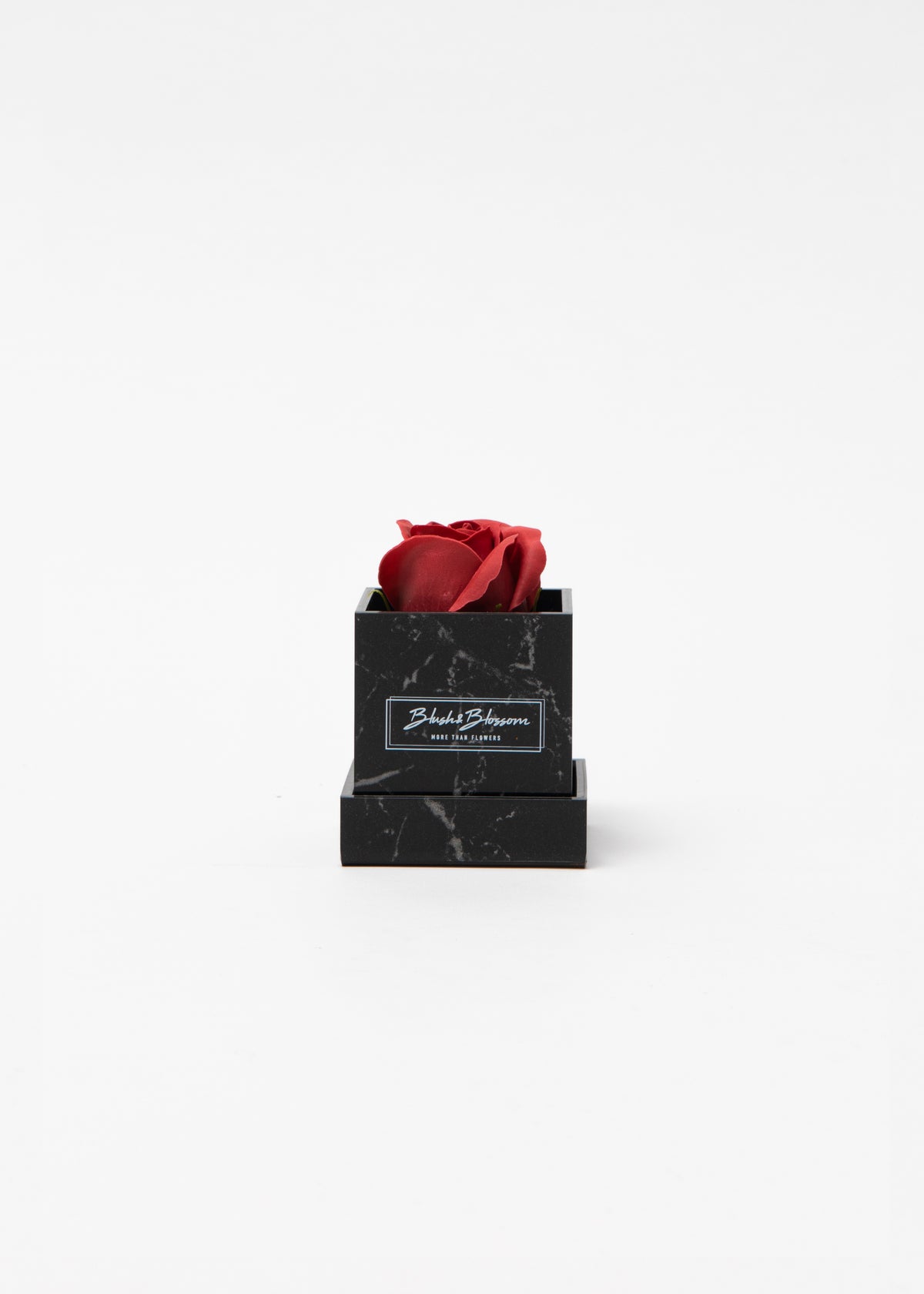 Coffret Howlite Black