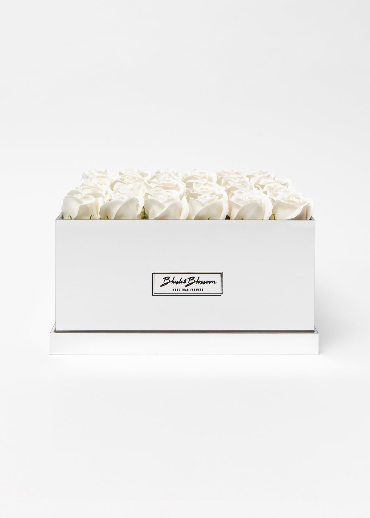 Coffret Silver