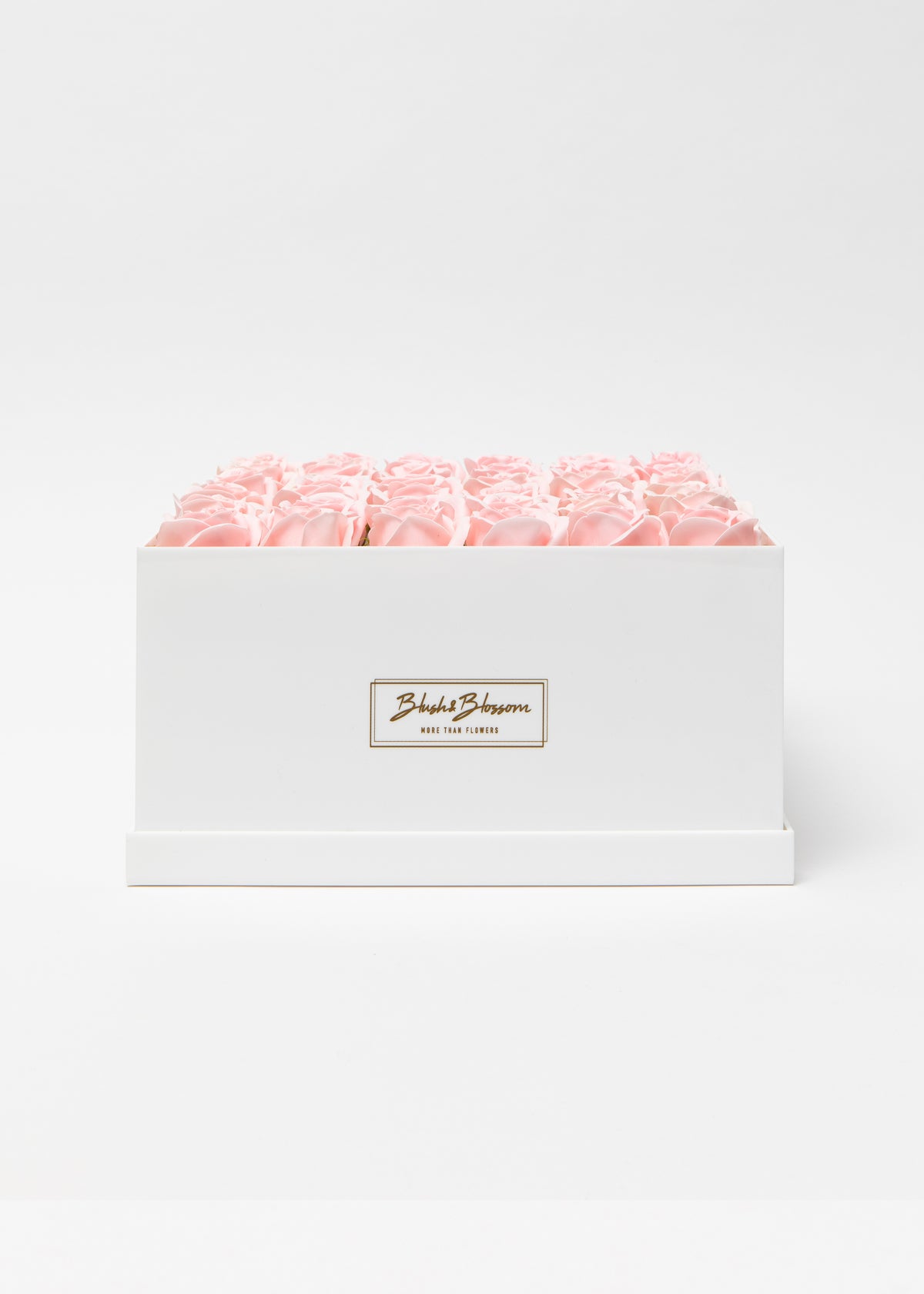 Coffret Opal