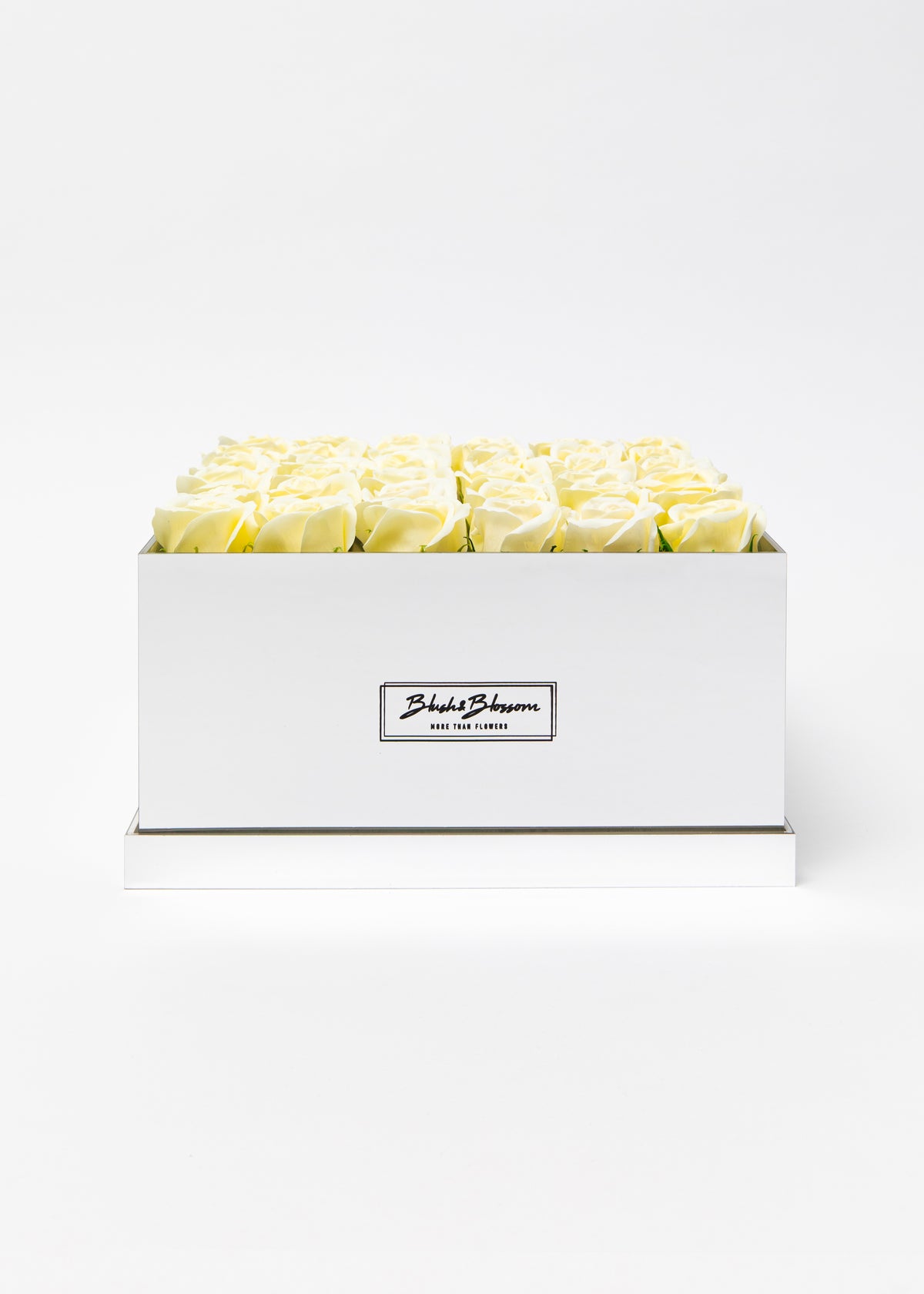Coffret Silver