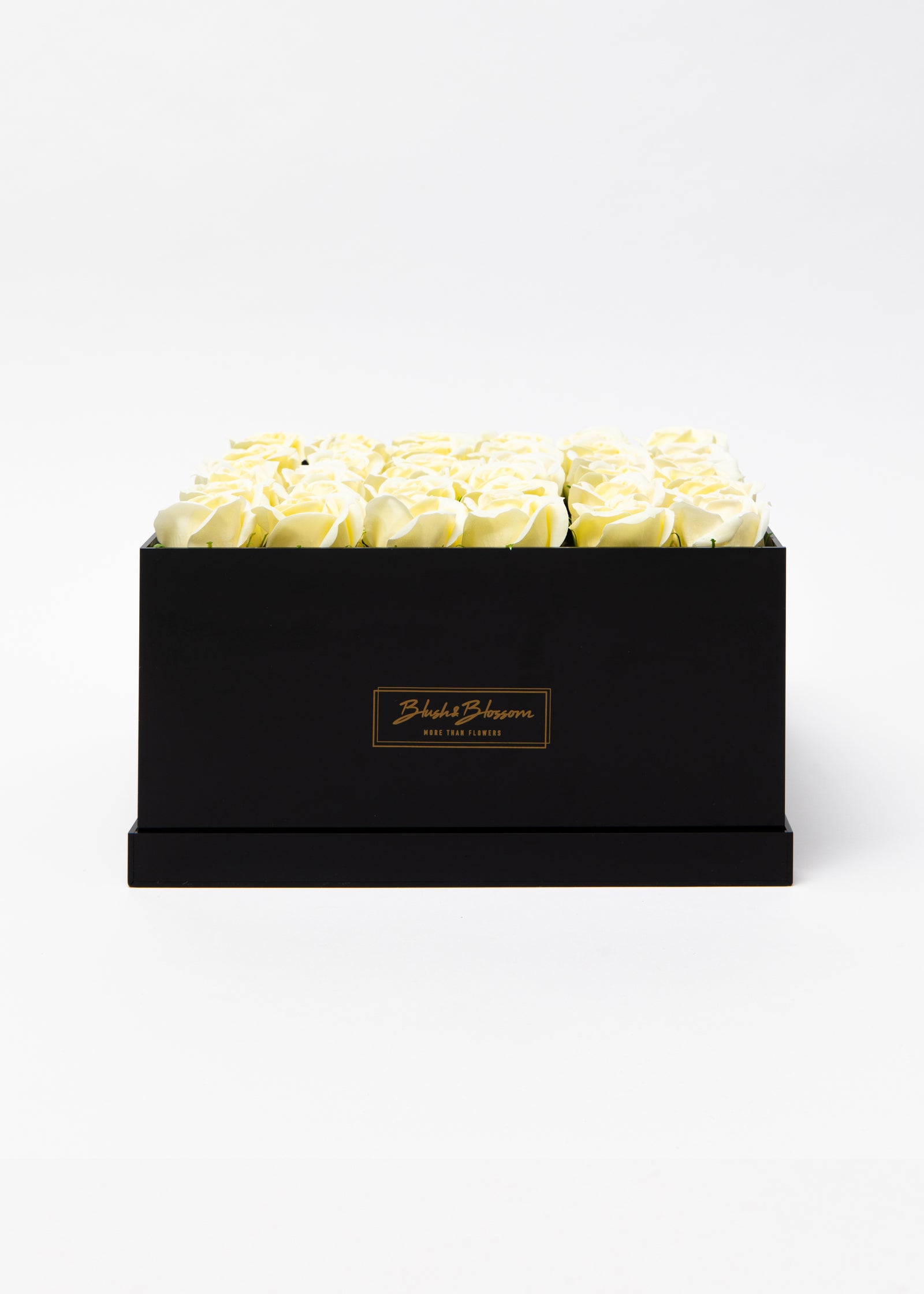ONYX box