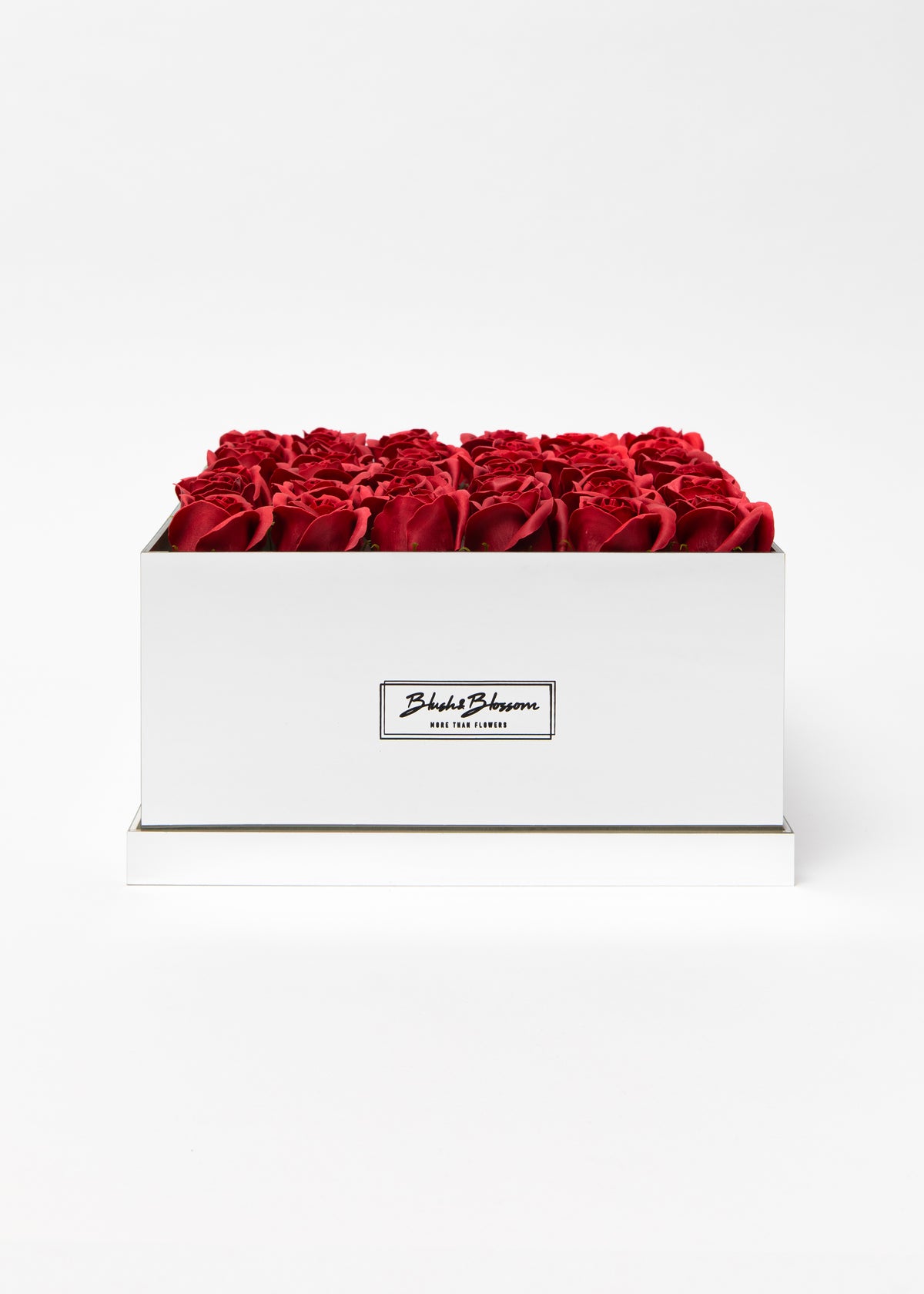 Coffret Silver