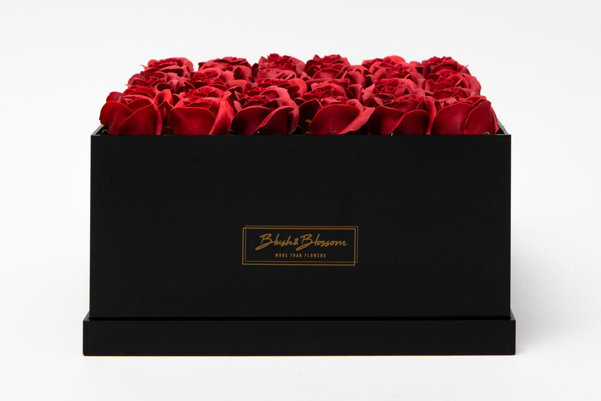 ONYX box