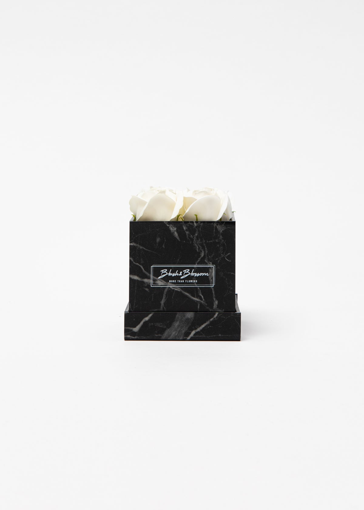 Coffret Howlite Black