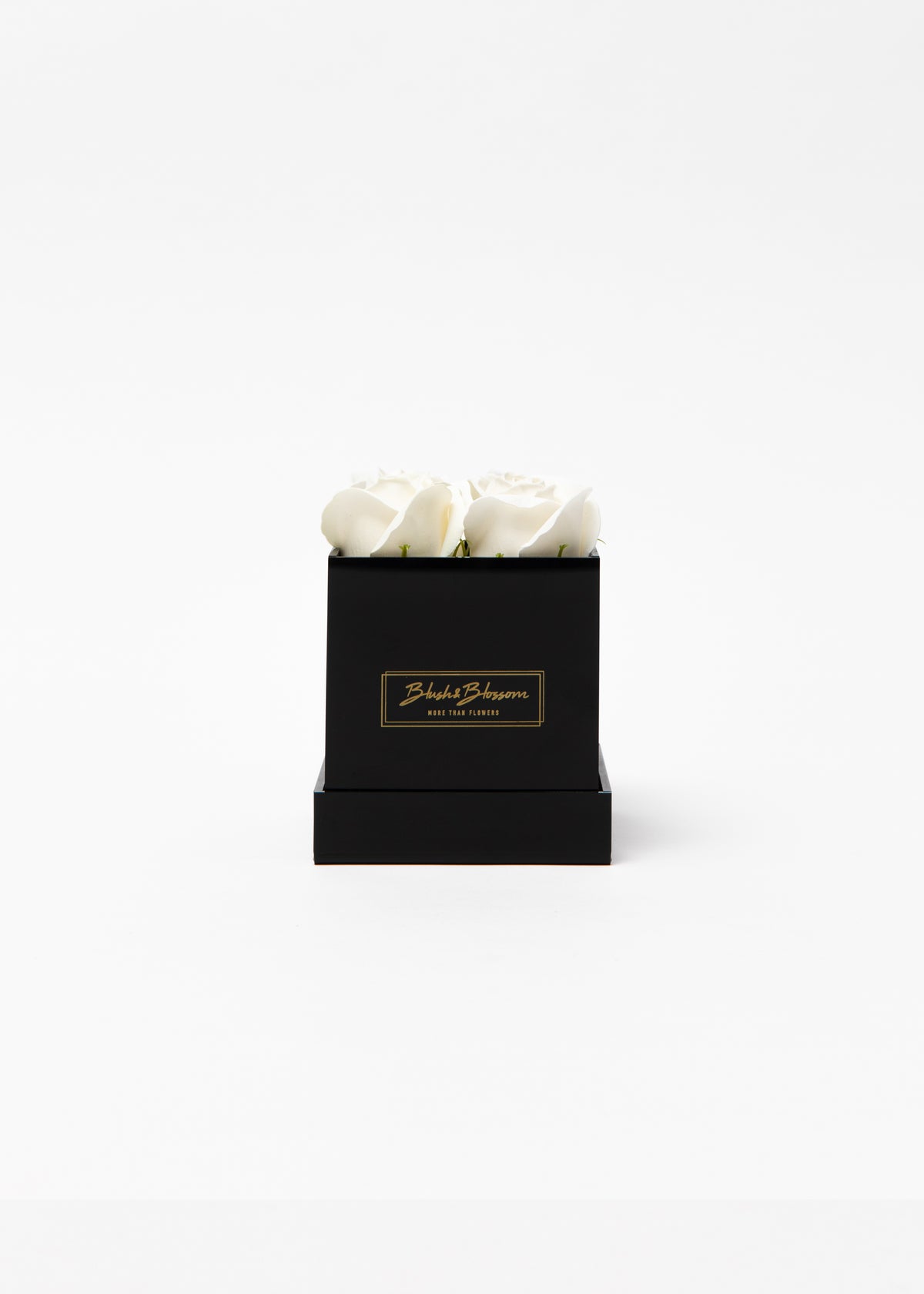 ONYX box