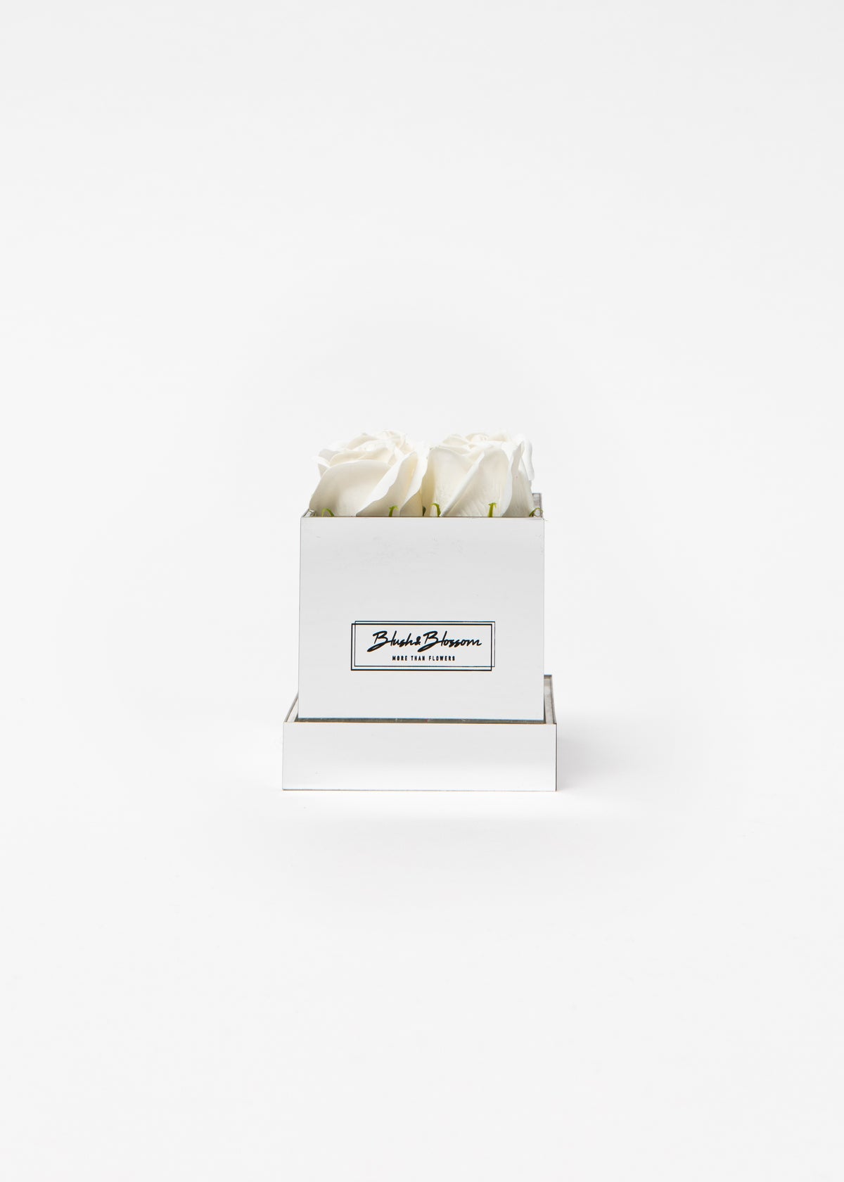 Coffret Silver