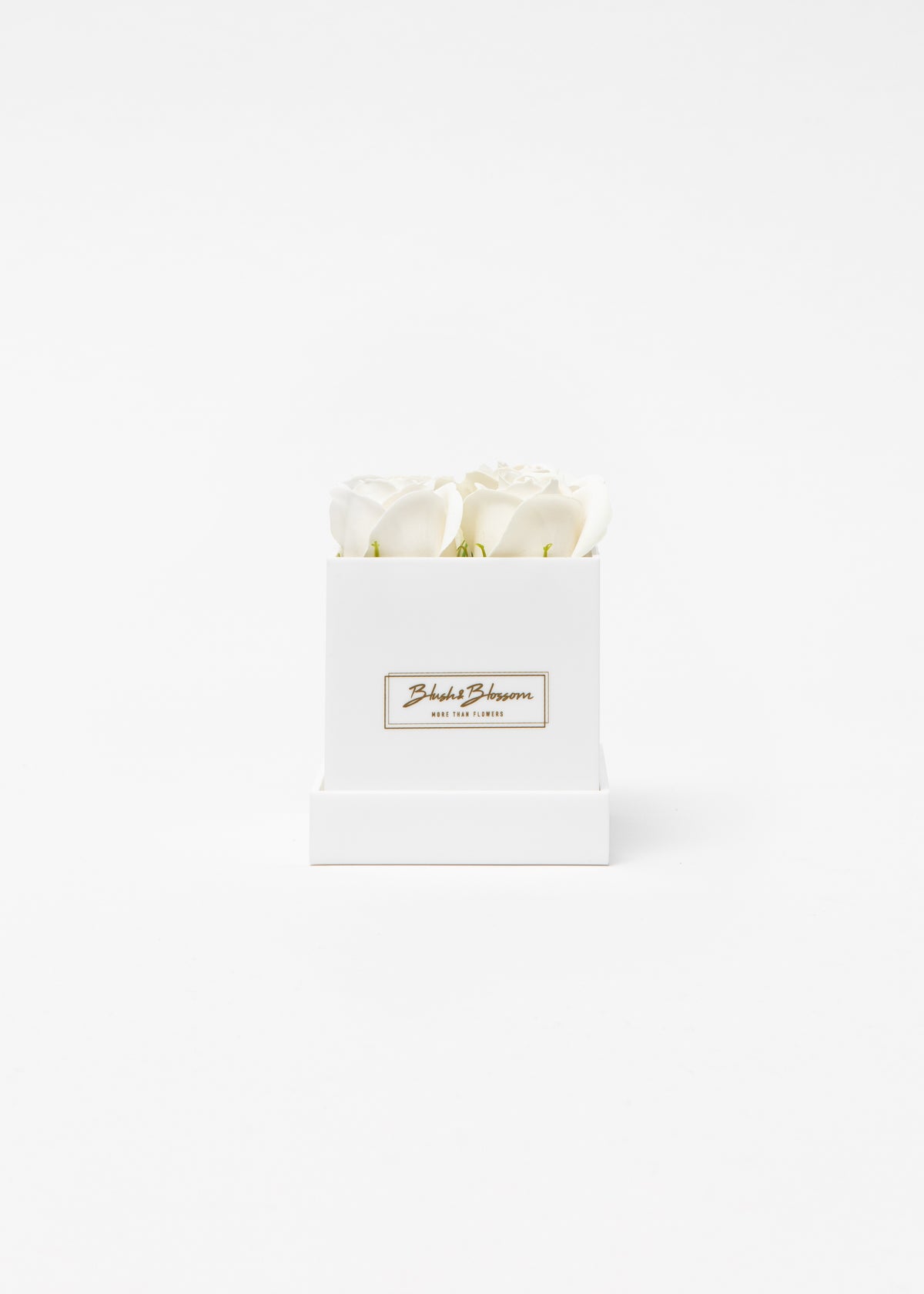 Coffret Opal