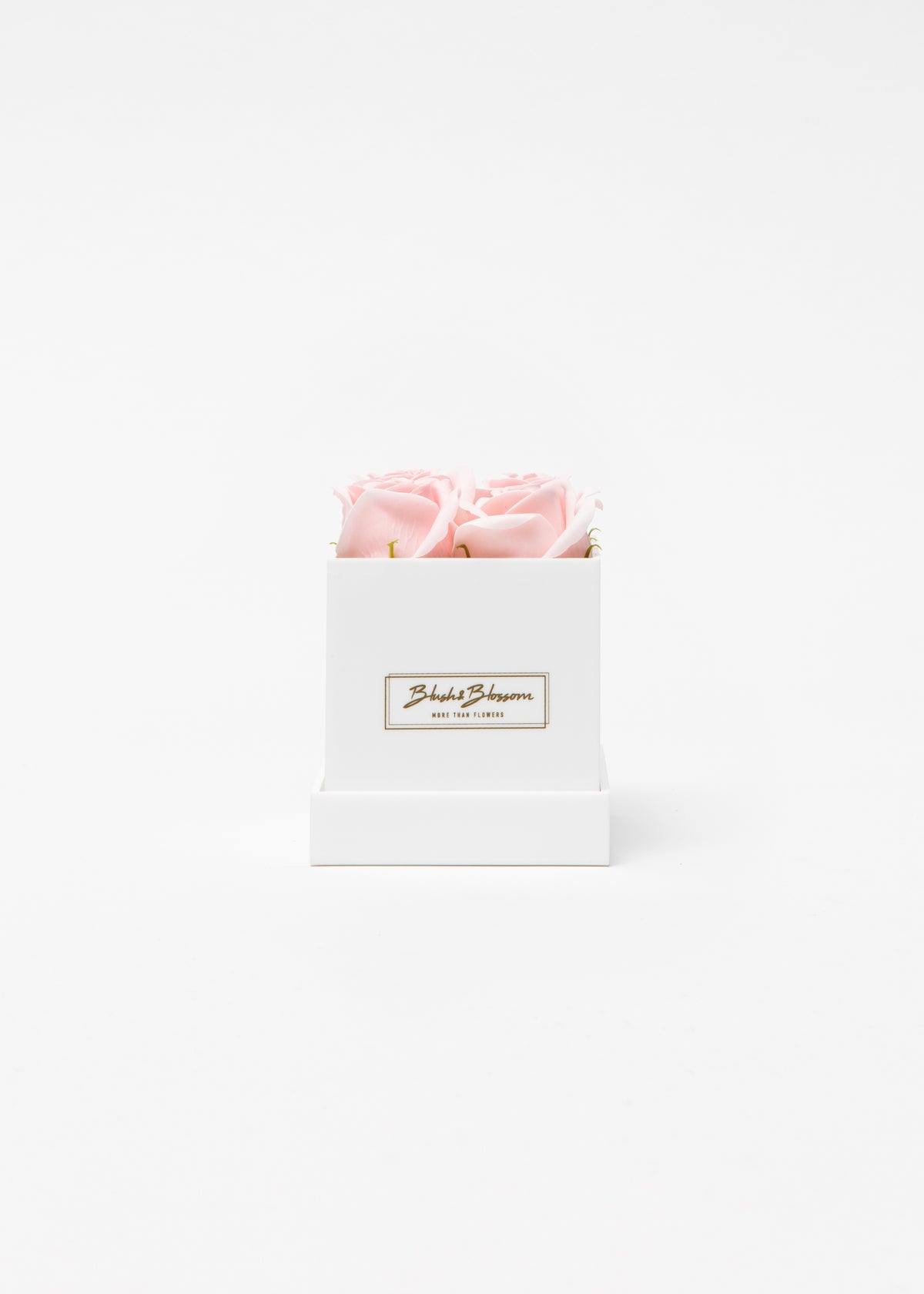 Coffret Opal