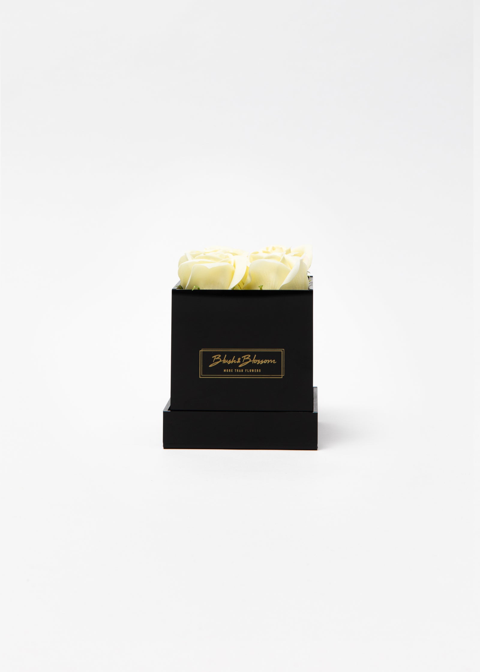 ONYX box