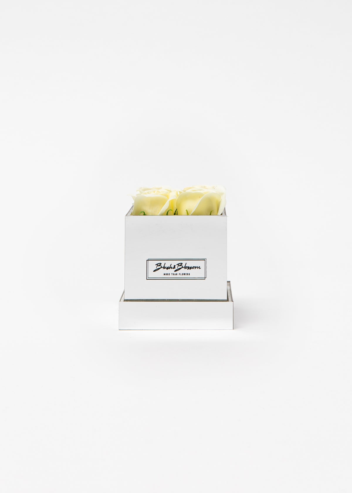 Coffret Silver