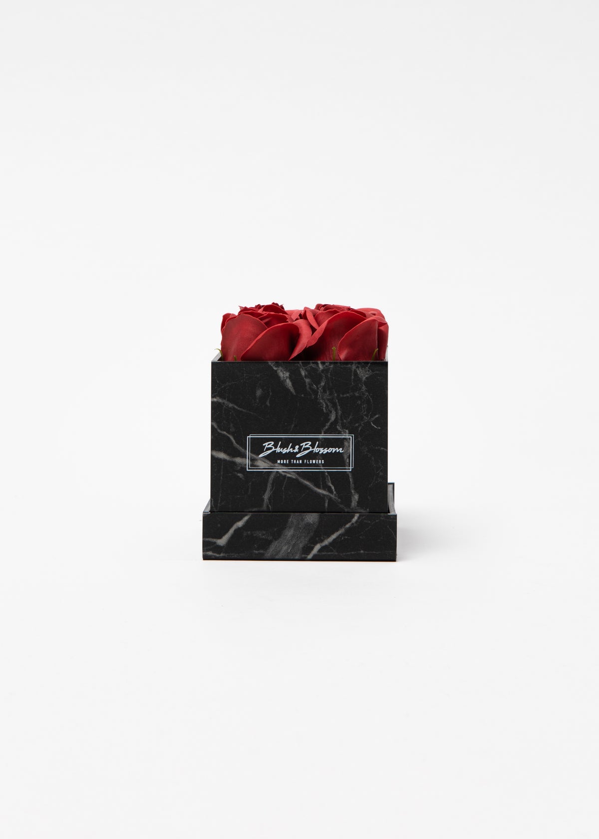 Coffret Howlite Black