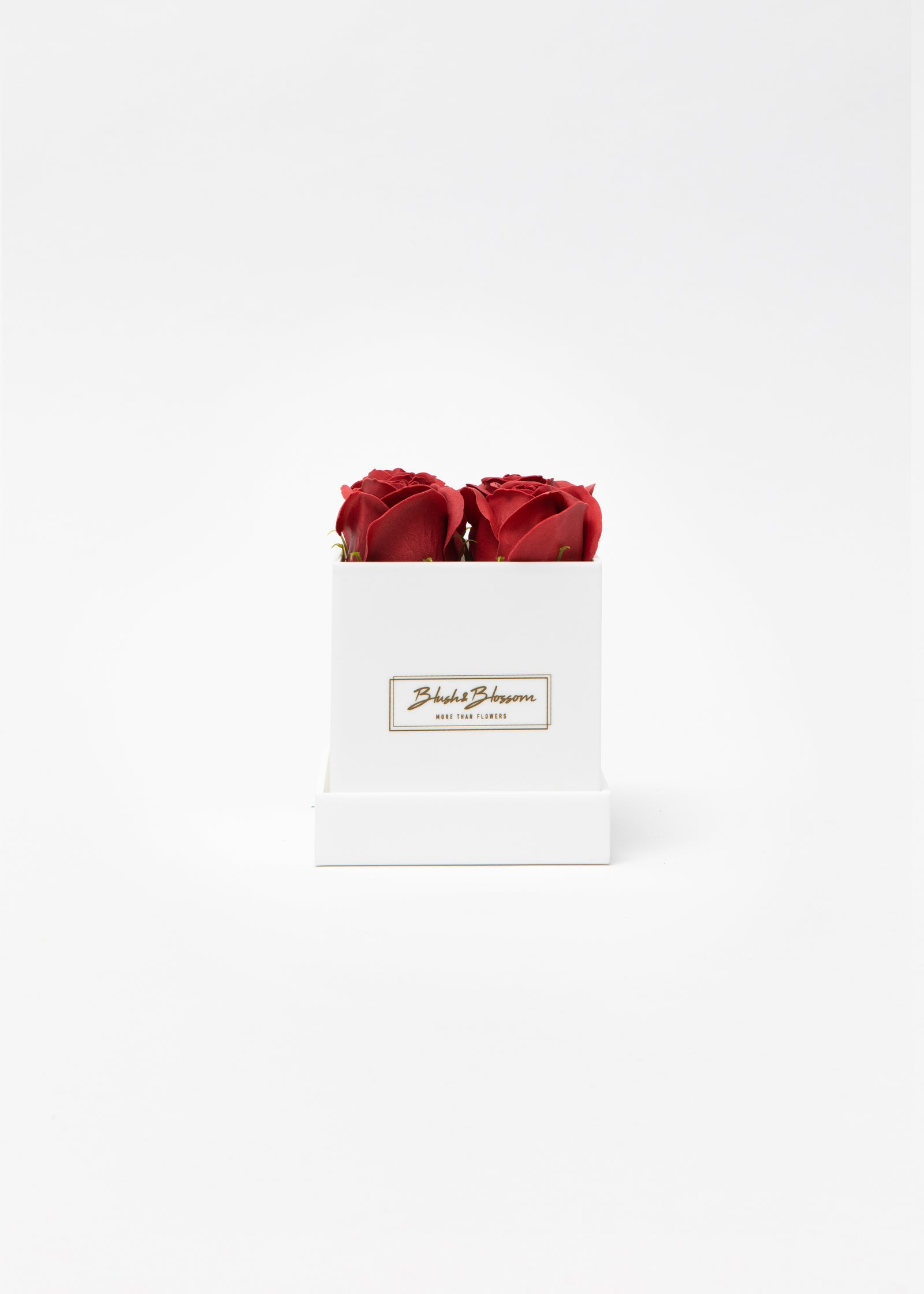Coffret Opal