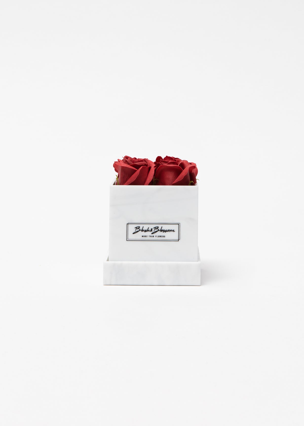 Coffret Howlite
