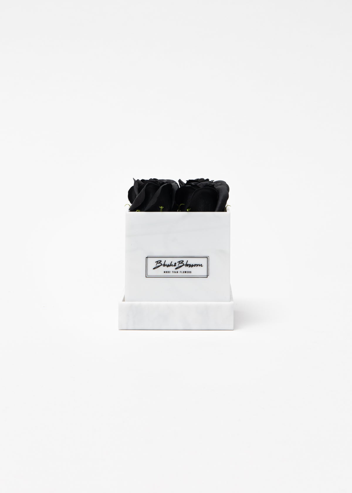 Coffret Howlite