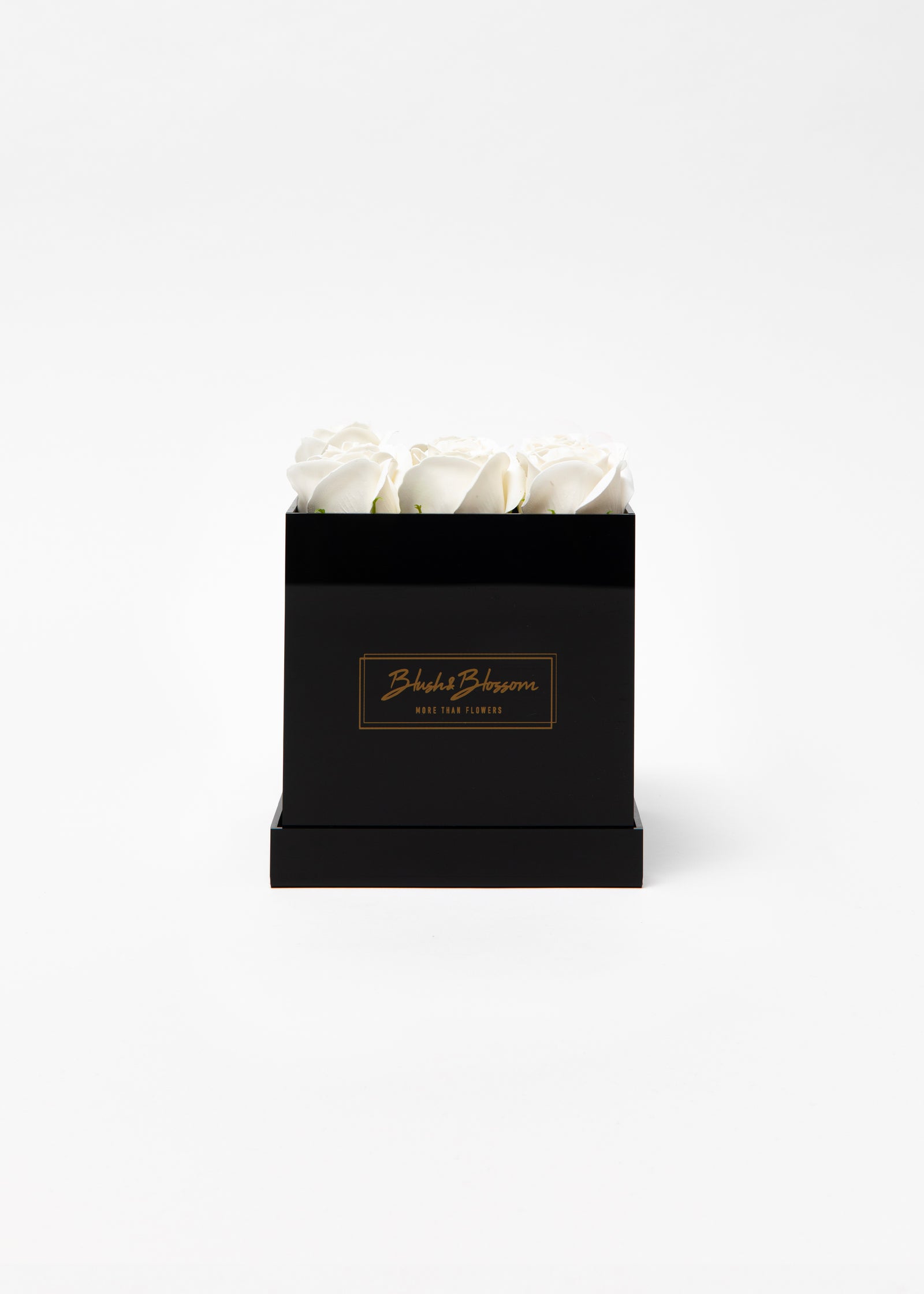 ONYX box