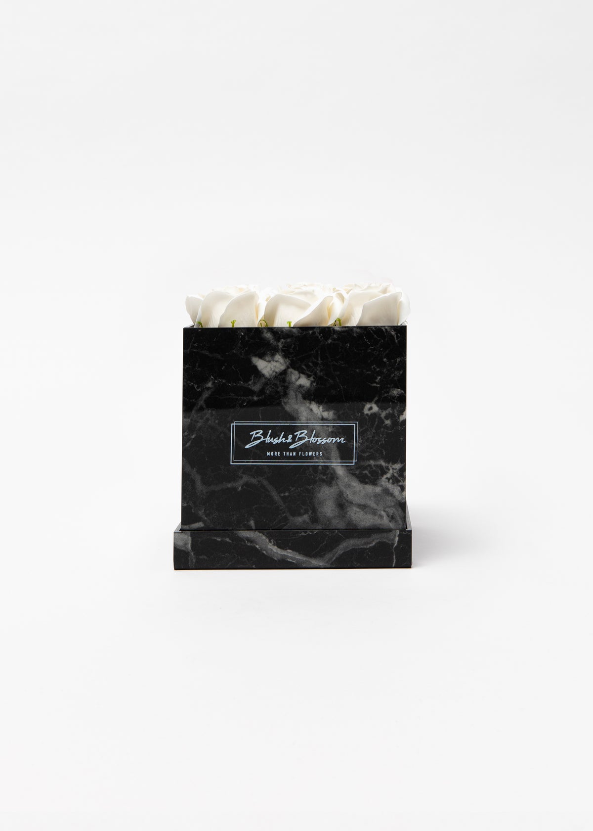 Coffret Howlite Black
