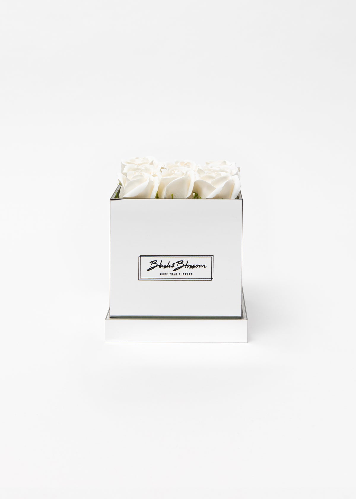 Coffret Silver
