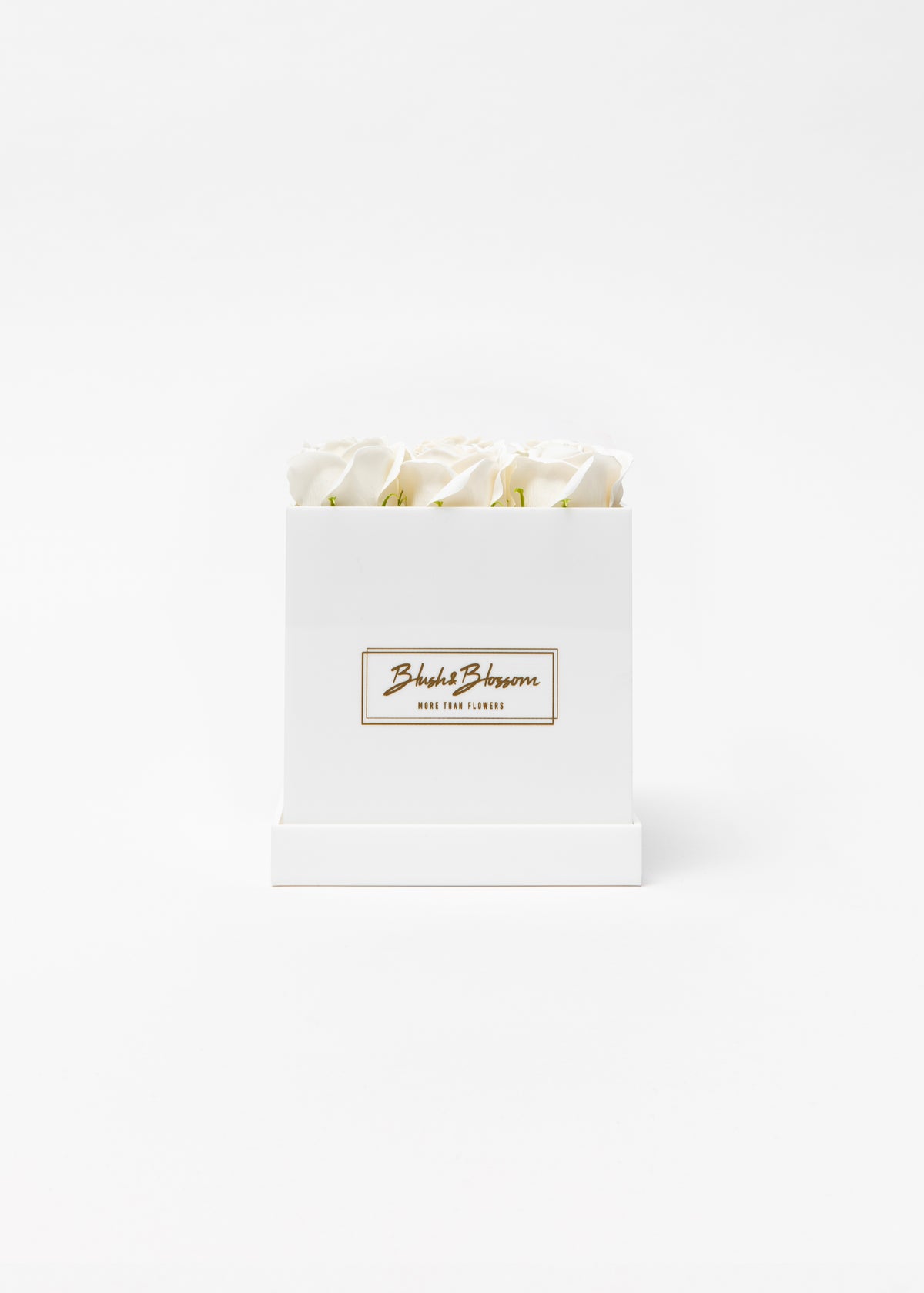 Coffret Opal