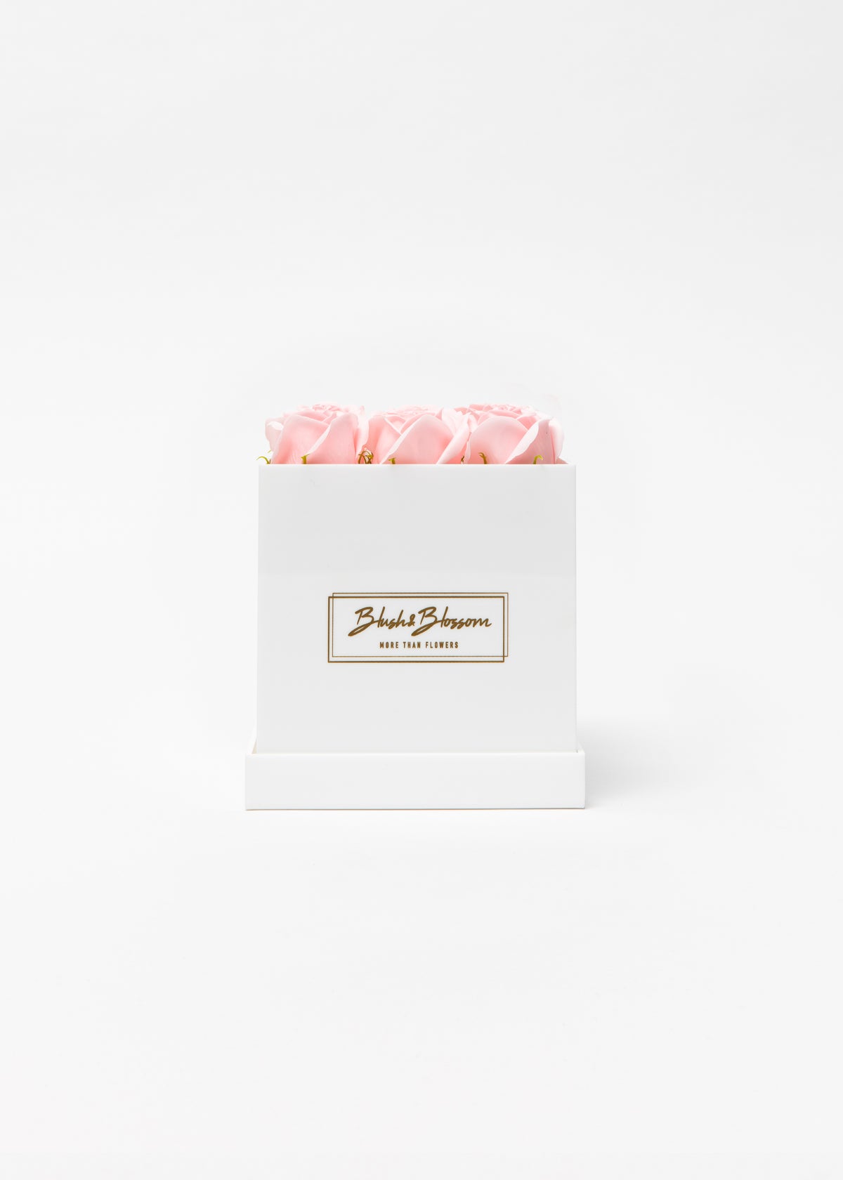 Coffret Opal
