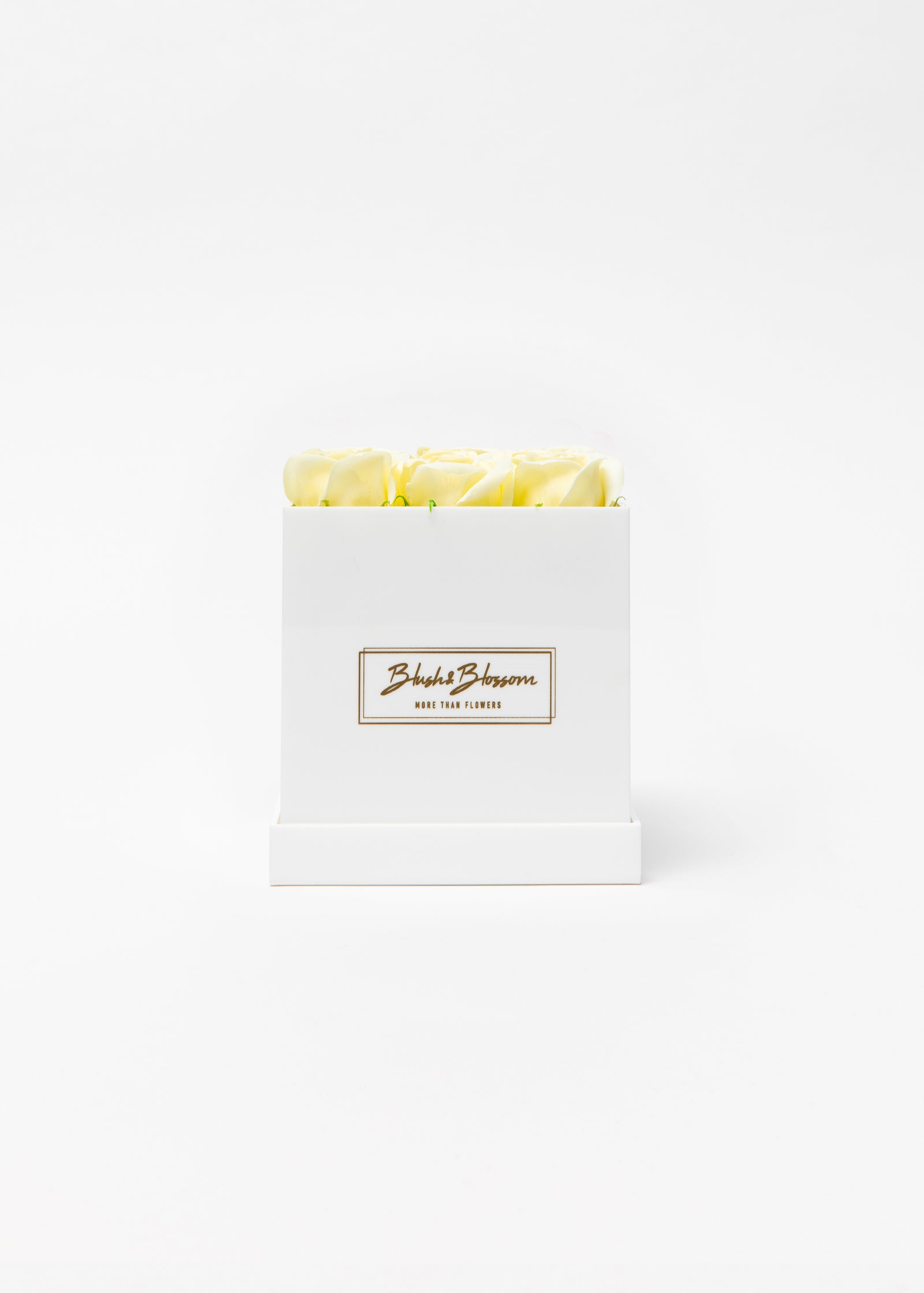 Coffret Opal
