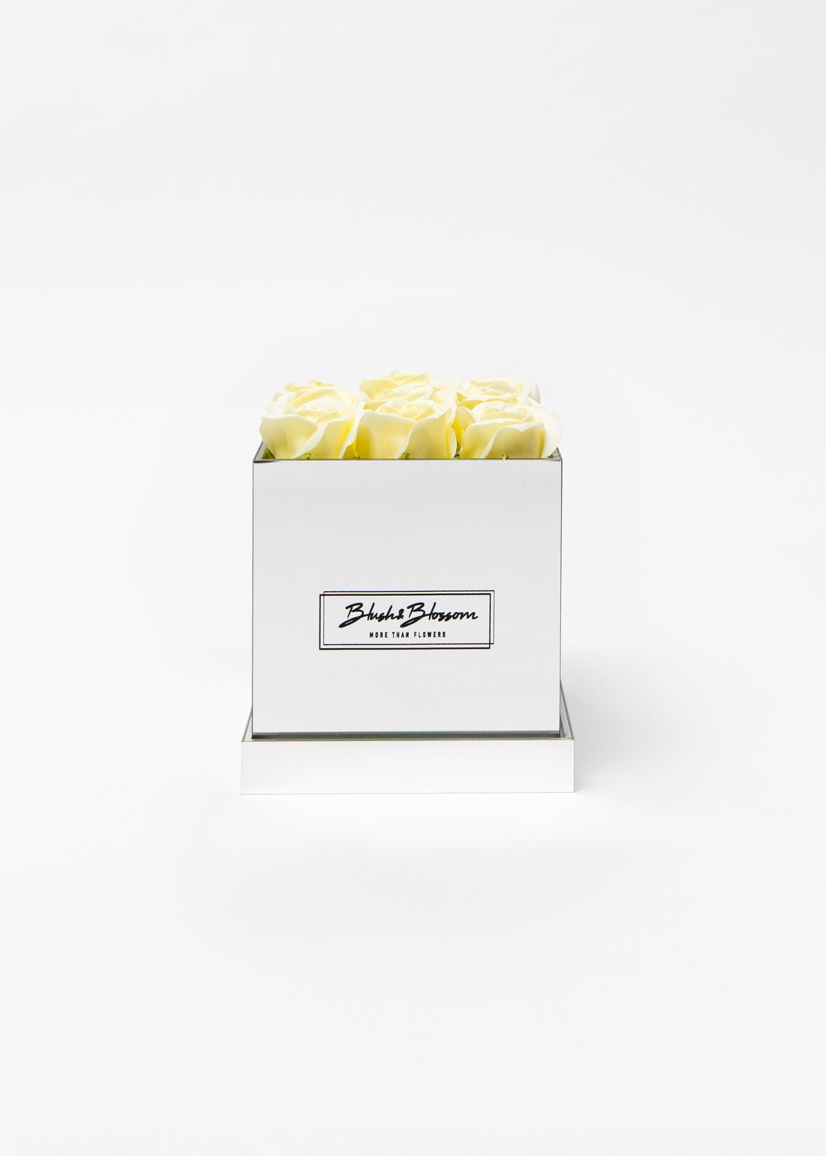 Coffret Silver