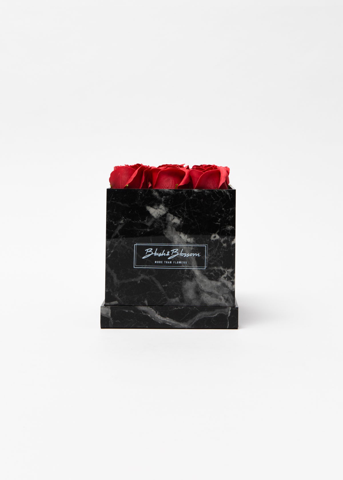 Coffret Howlite Black