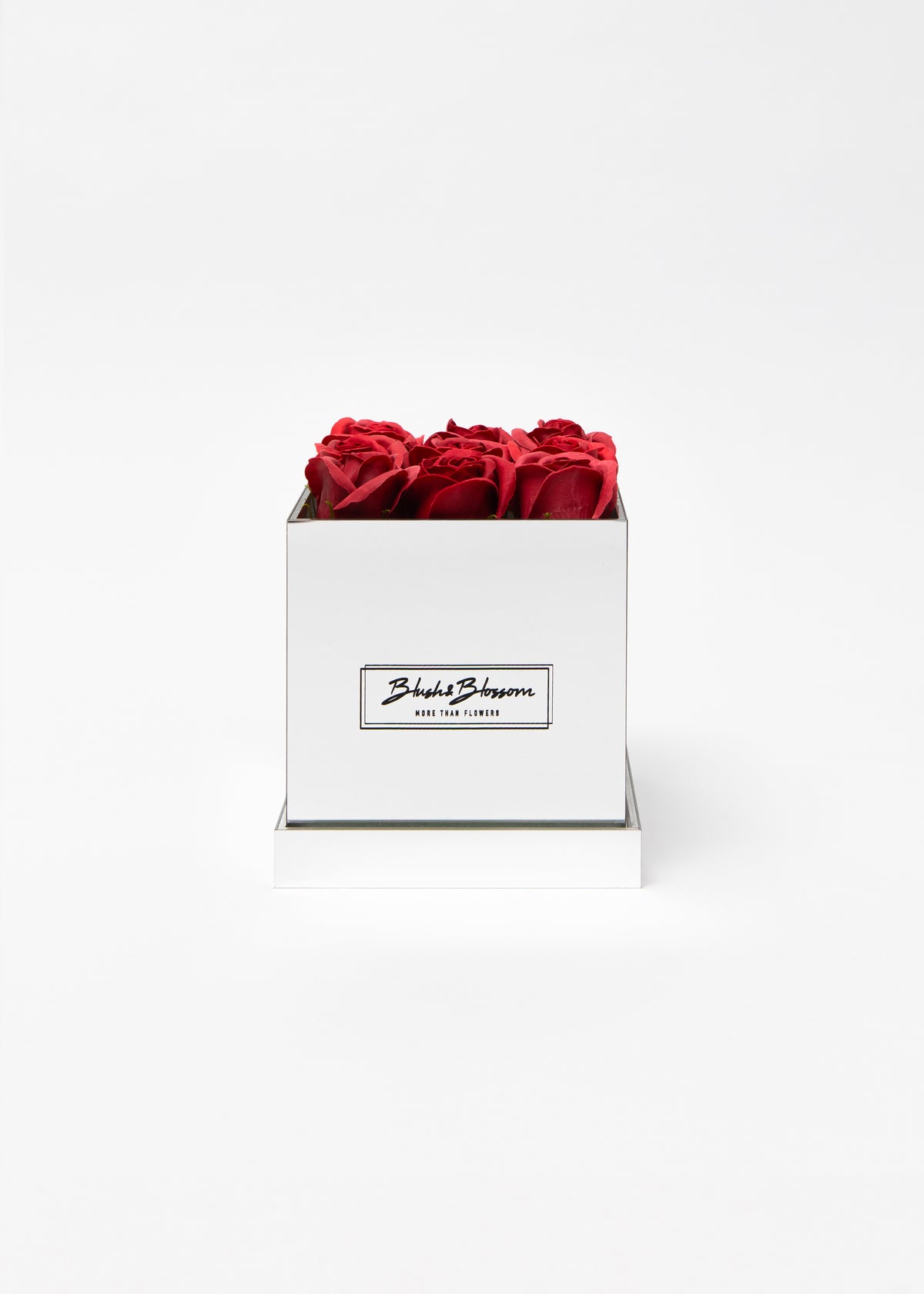 Coffret Silver
