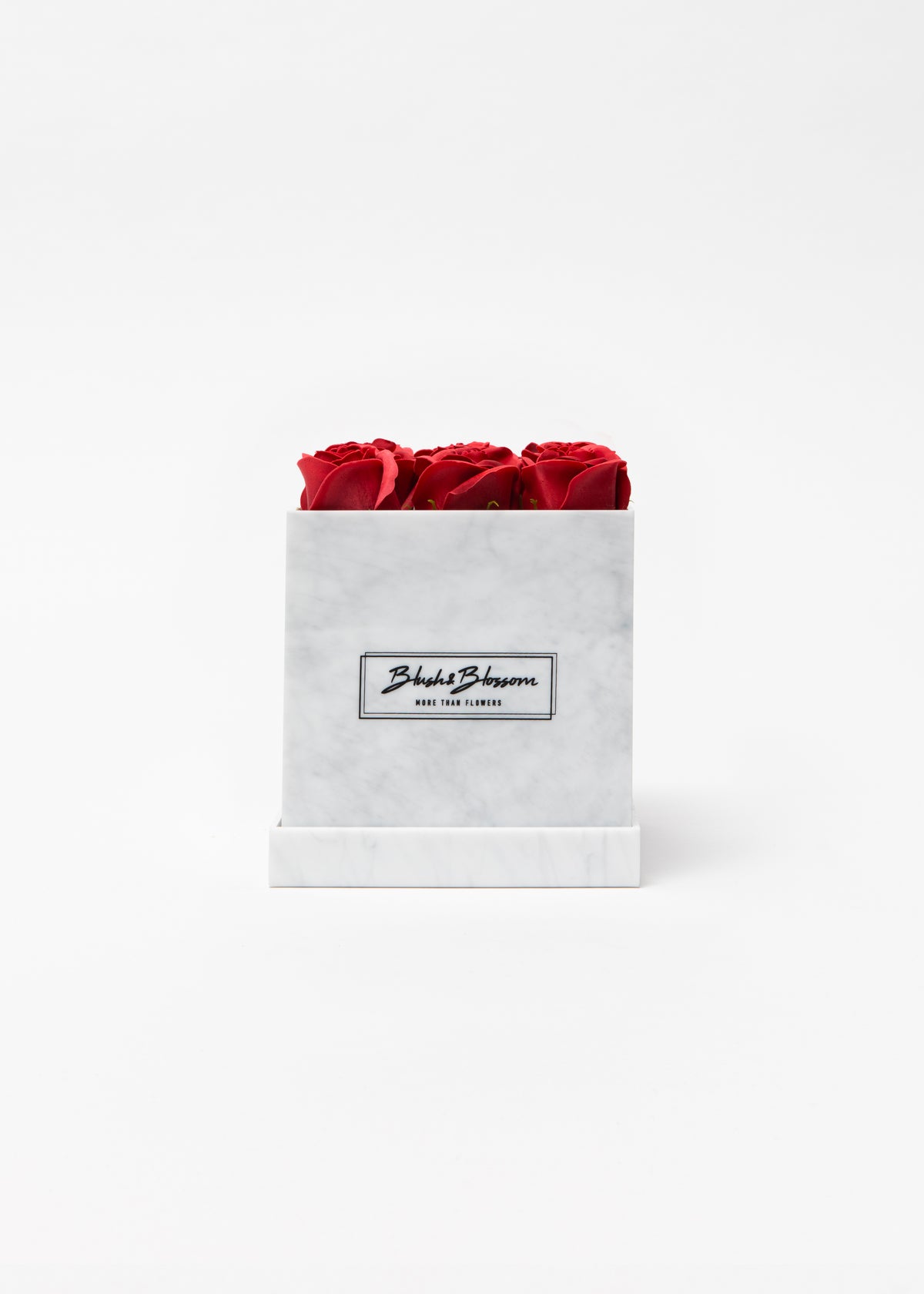 Coffret Howlite