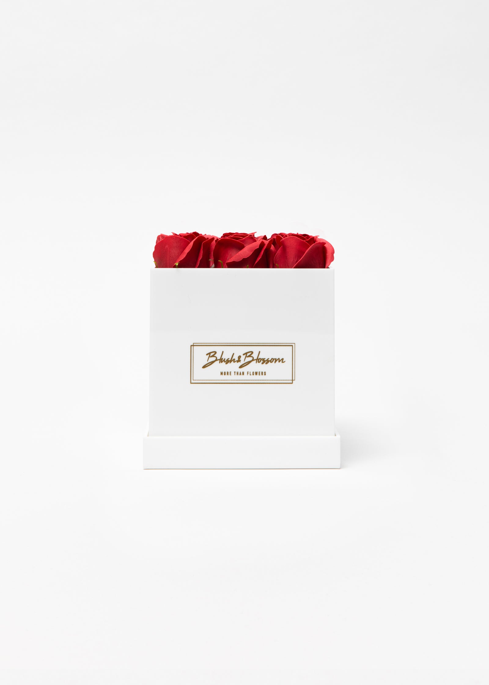 Coffret Opal