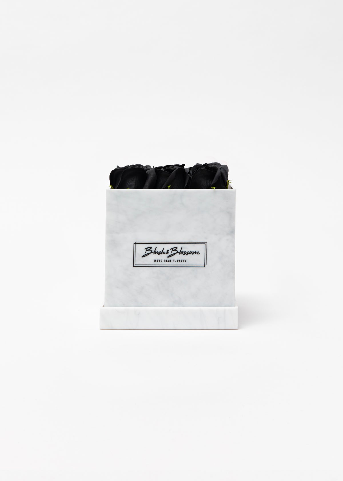 Coffret Howlite