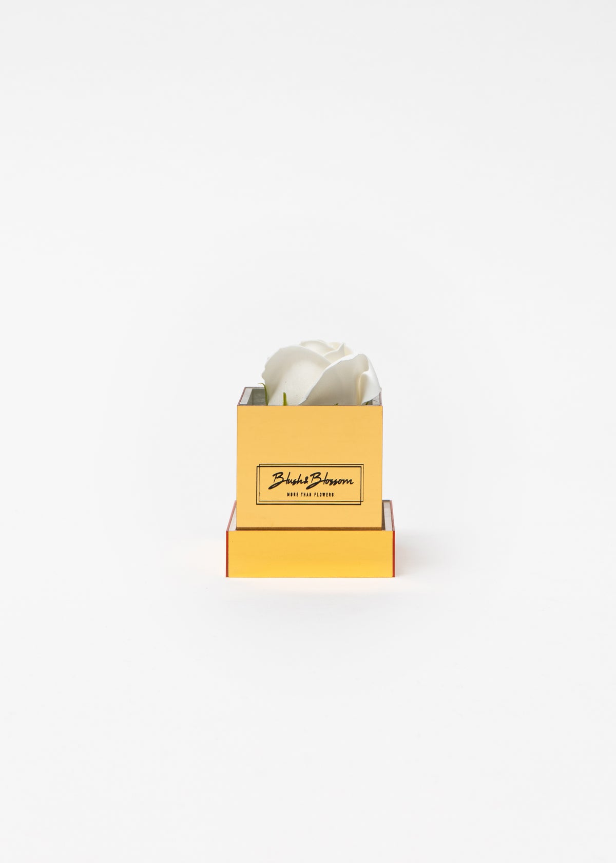 Coffret Golden