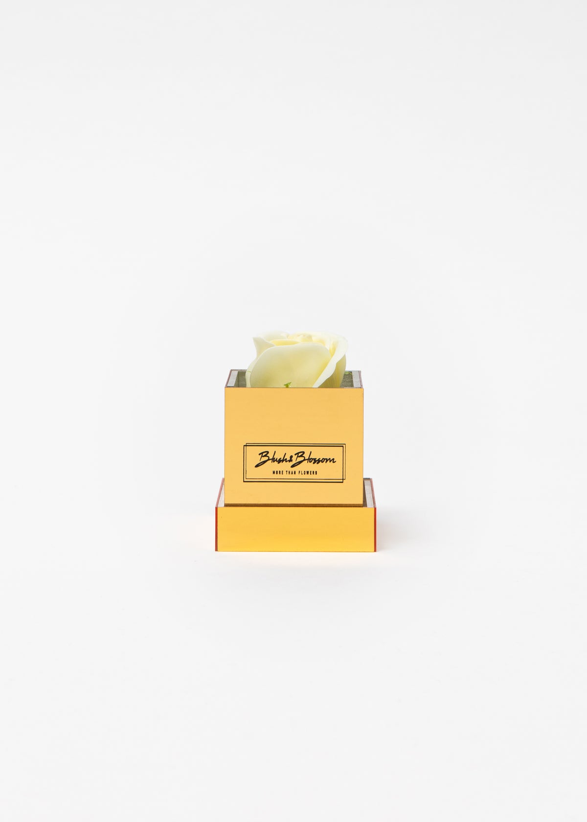 Coffret Golden