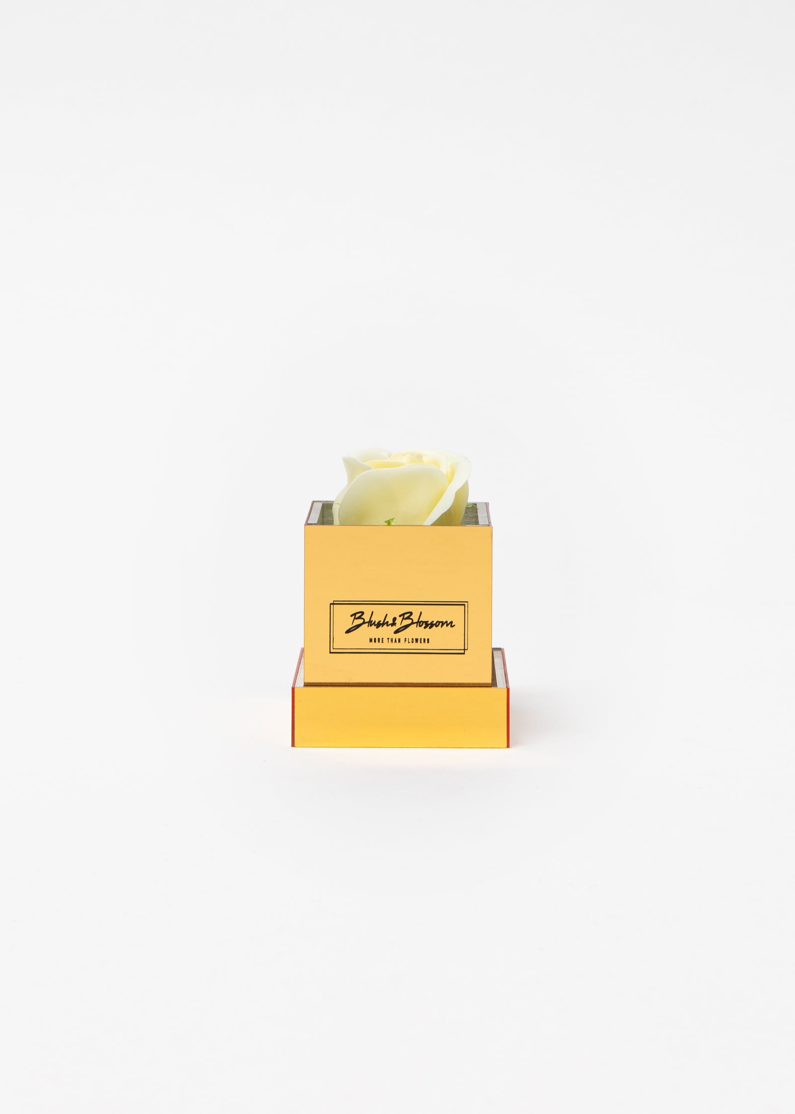 Coffret Golden