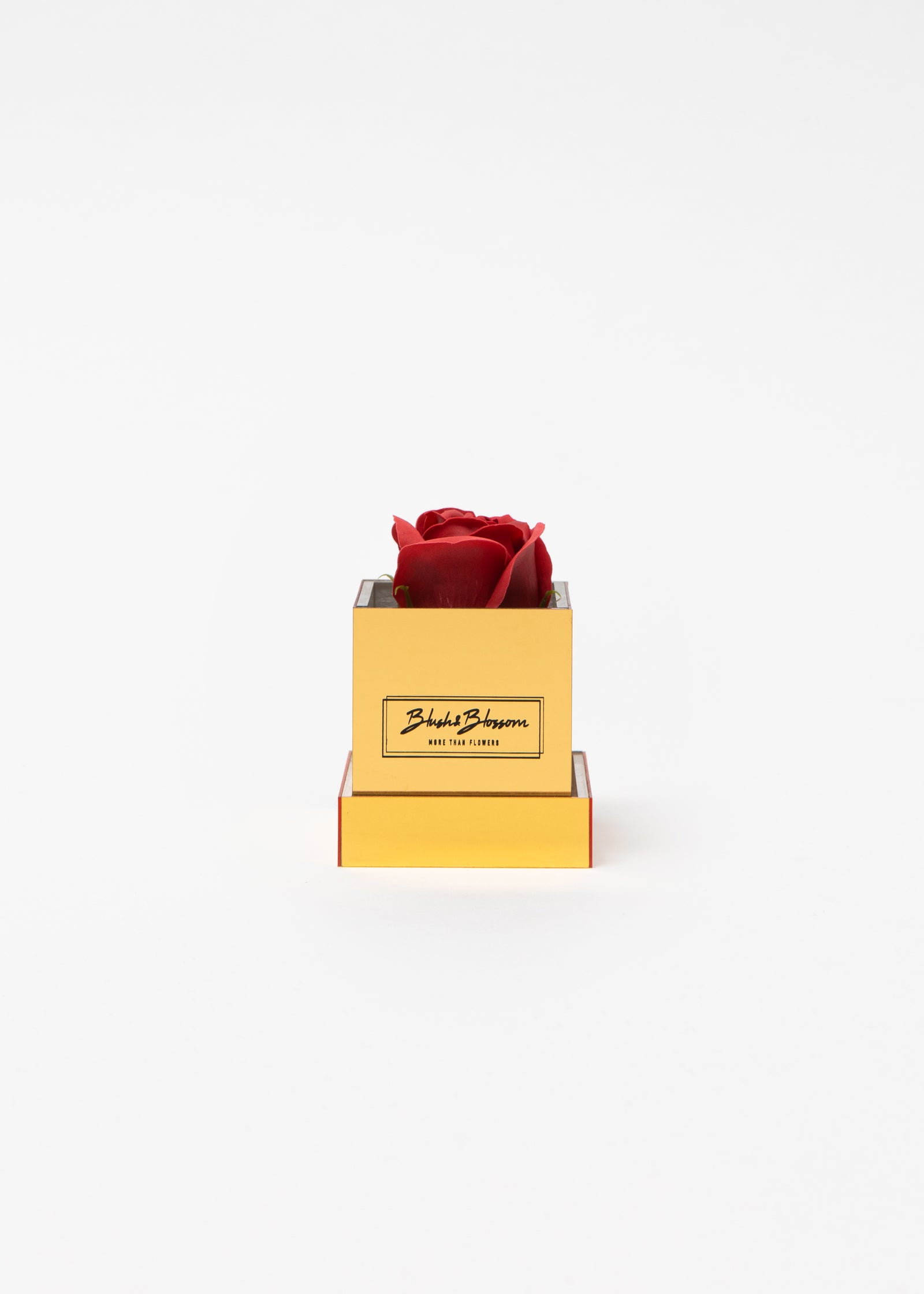 Coffret Golden