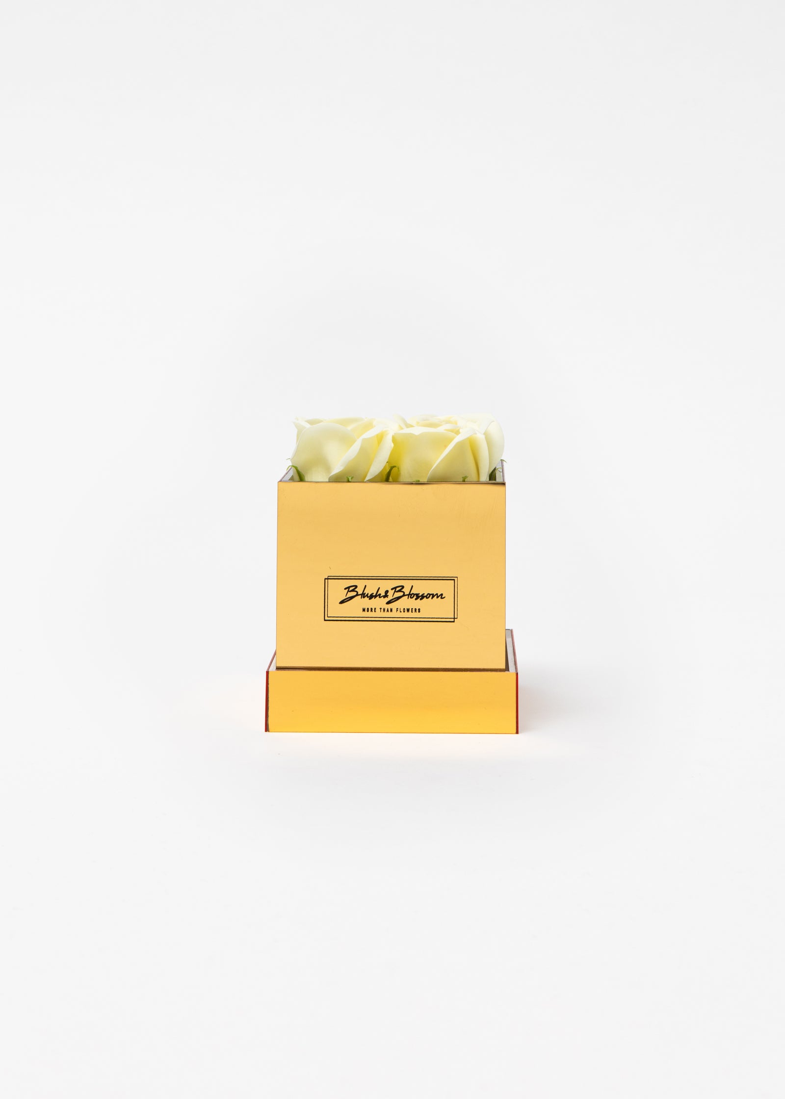 Coffret Golden