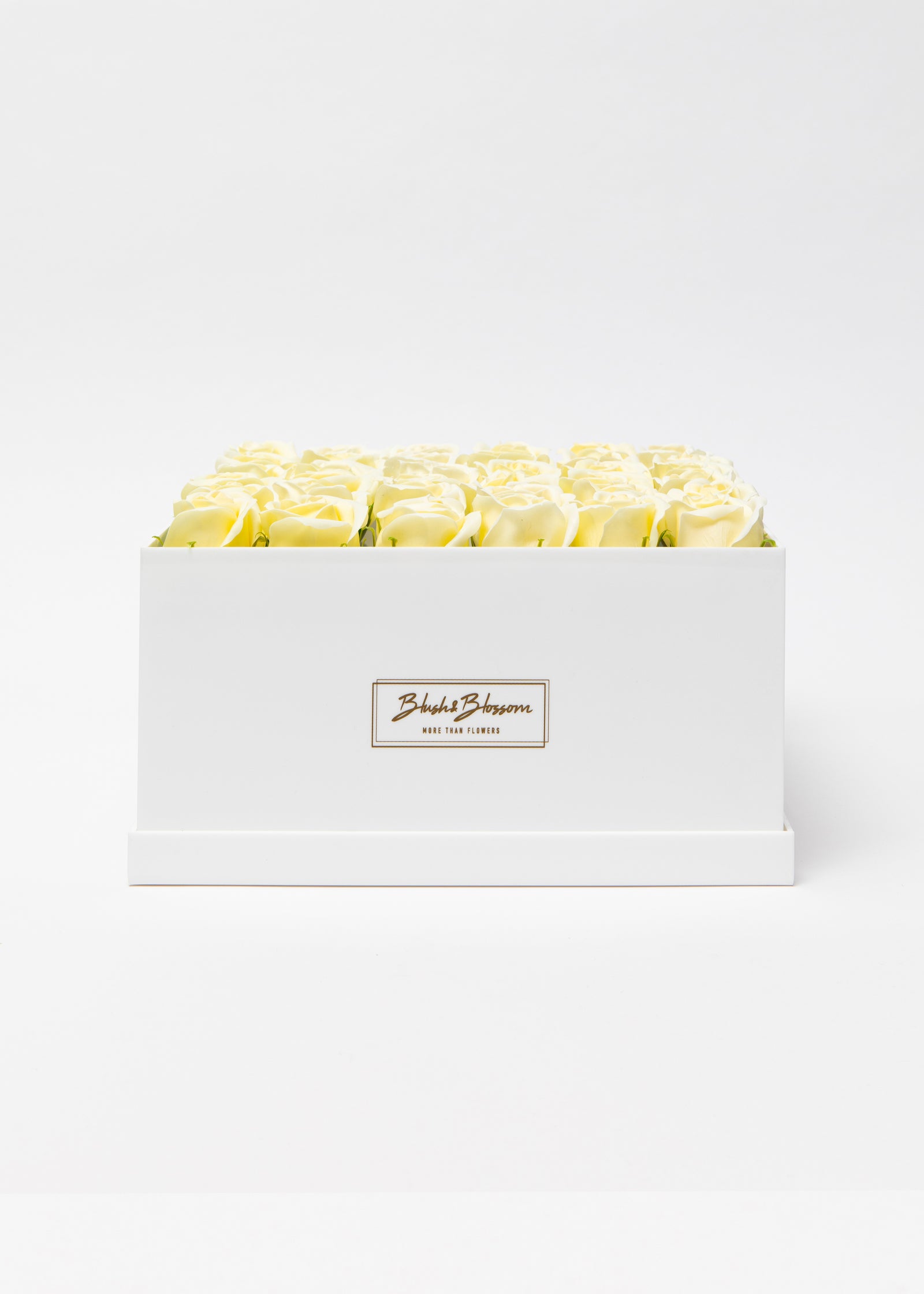 Coffret Opal