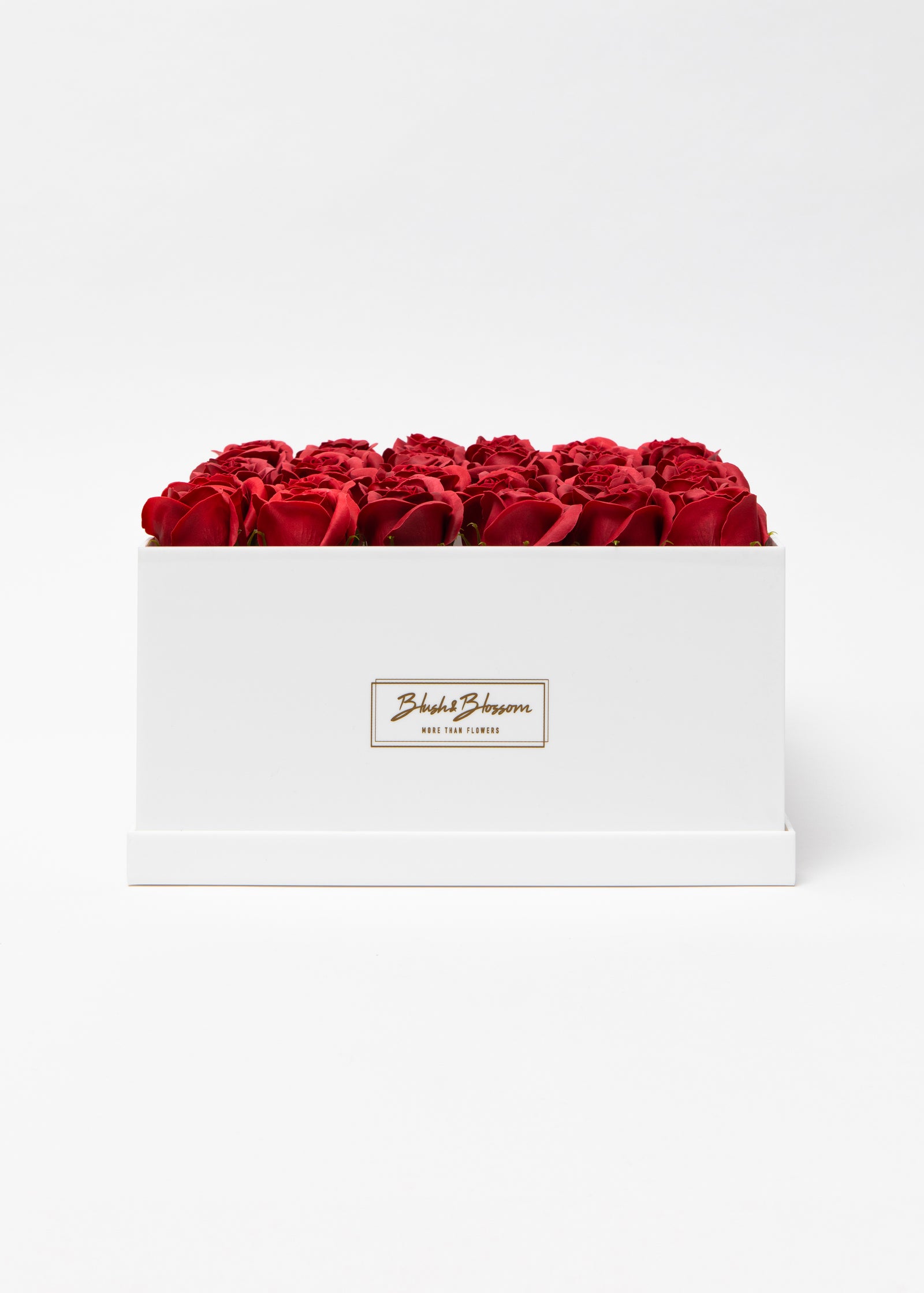 Coffret Opal