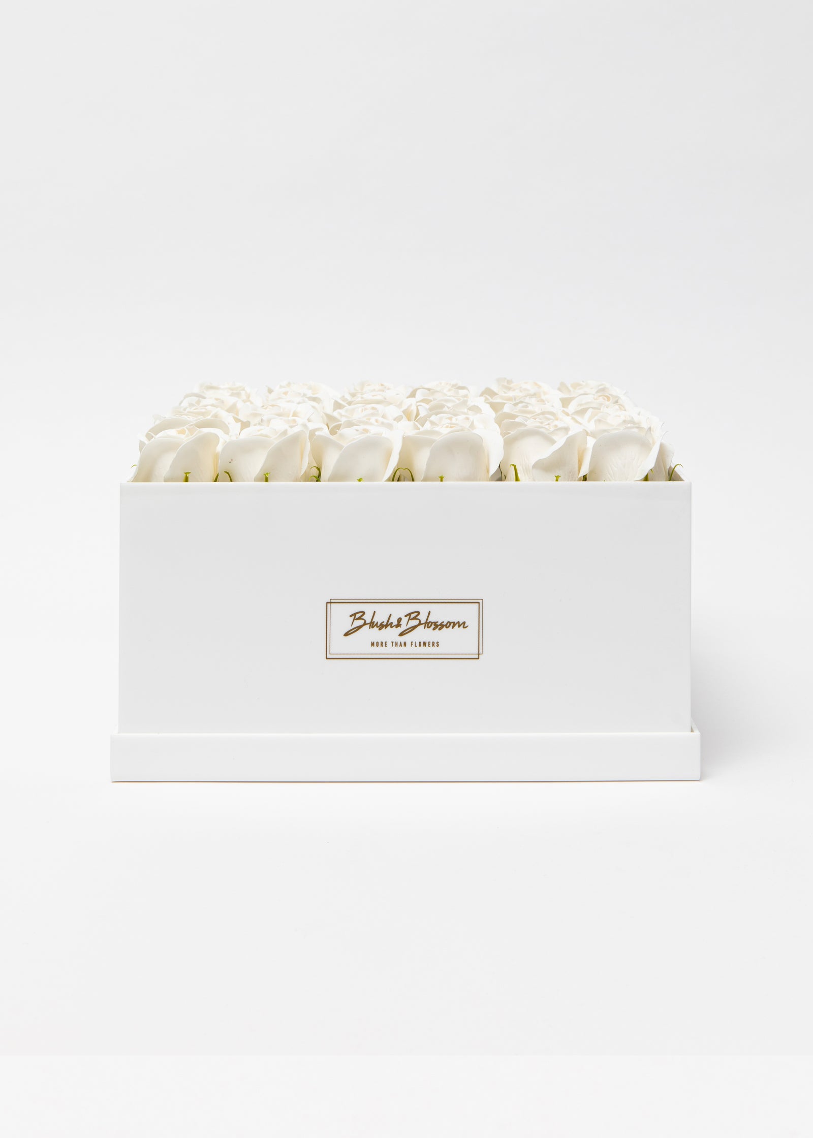 Coffret Opal